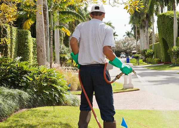 About Holloway MN Pest Control Pros